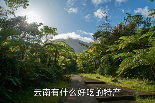 云南有什么好吃的特產