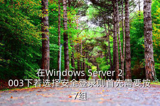 在Windows Server 2003下若選擇安全登錄則首先需要按7組
