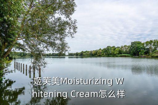 姬芙美，求分享達人們推薦推薦控油洗面奶吧