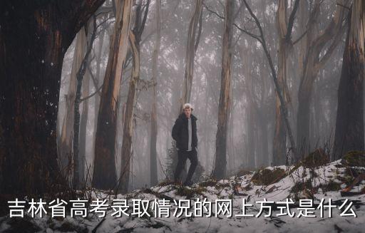 吉林省高考錄取情況的網上方式是什么
