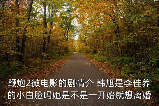 鞭炮2微電影的劇情介 韓旭是李佳養的小白臉嗎她是不是一開始就想離婚