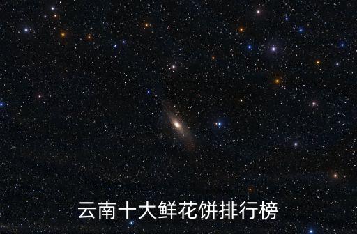 云南十大鮮花餅排行榜
