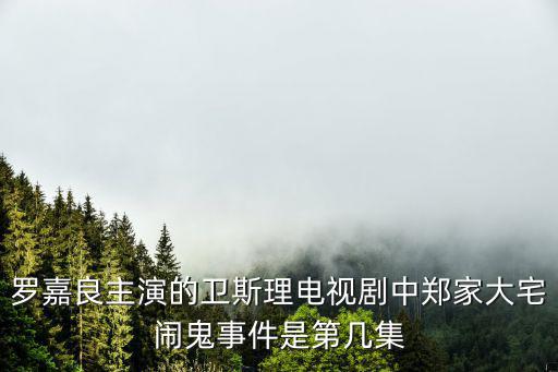 鄭家大院，羅嘉良主演的衛斯理電視劇中鄭家大宅鬧鬼事件是第幾集