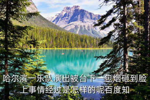 哈爾濱一樂隊演出被臺下一包煙砸到臉上事情經(jīng)過是怎樣的呢百度知