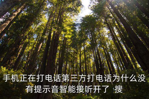 手機正在打電話第三方打電話為什么沒有提示音智能接聽開了  搜