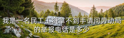 我是一名民工工資拿不到手請問勞動局的舉報(bào)電話是多少