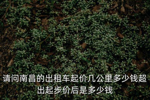 南昌出租車，南昌現(xiàn)在大約有多少輛出租汽車啊