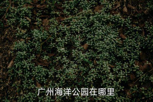 廣州海洋公園在哪里
