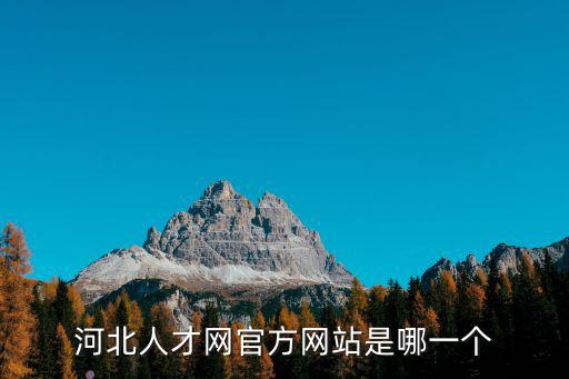 河北人才網官方網站是哪一個