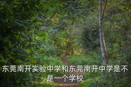東莞南開實(shí)驗(yàn)中學(xué)和東莞南開中學(xué)是不是一個(gè)學(xué)校