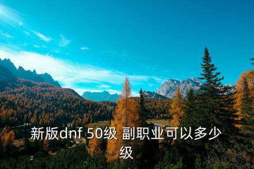 新版50，新版dnf 50級(jí) 副職業(yè)可以多少級(jí)
