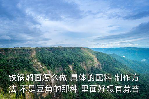 鐵鍋燜面怎么做 具體的配料 制作方法 不是豆角的那種 里面好想有蒜苔