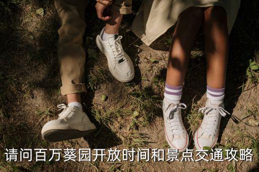 請(qǐng)問百萬葵園開放時(shí)間和景點(diǎn)交通攻略