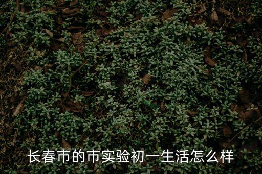 長(zhǎng)春市實(shí)驗(yàn)，長(zhǎng)春市的市實(shí)驗(yàn)初一生活怎么樣