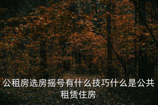 公租房選房搖號有什么技巧什么是公共租賃住房