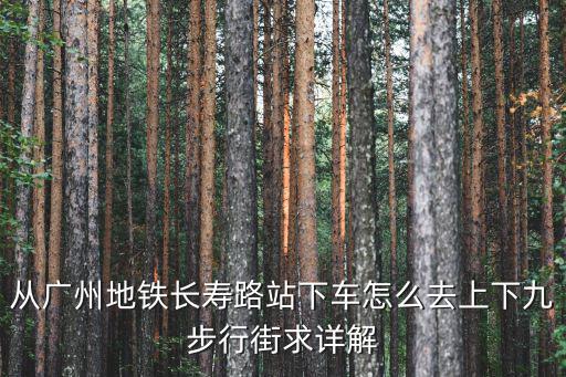 長壽路站，廣州長壽路地鐵站有幾個D出口