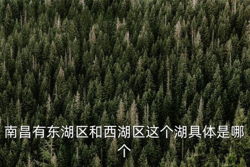 南昌有東湖區和西湖區這個湖具體是哪個