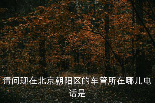 朝陽區車管所，遼寧朝陽車輛管理所幾點上班