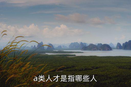 a類人才，義烏人才等級a類是什么意思