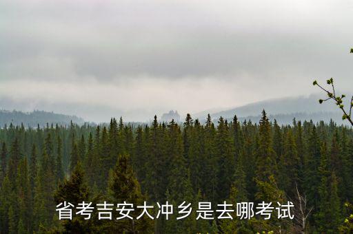大沖鄉(xiāng)，桂平市有大沖鎮(zhèn)沒