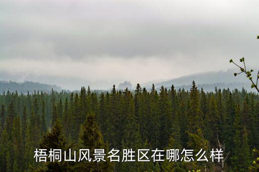 梧桐山風景名勝區在哪怎么樣