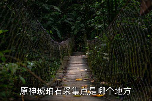 原神琥珀石采集點是哪個地方