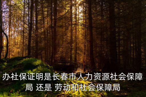 辦社保證明是長春市人力資源社會保障局 還是 勞動和社會保障局