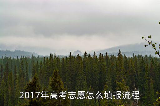 2017年高考志愿怎么填報流程