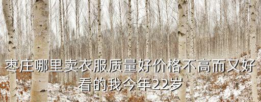 于振興，棗莊哪里賣衣服質量好價格不高而又好看的我今年22歲