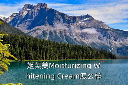 姬芙美Moisturizing Whitening Cream怎么樣