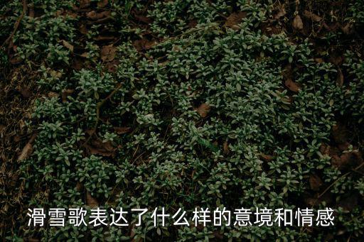 滑雪歌表達了什么樣的意境和情感