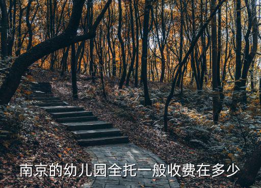 南京的幼兒園全托一般收費在多少