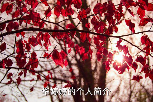 華婷婷的個人簡介