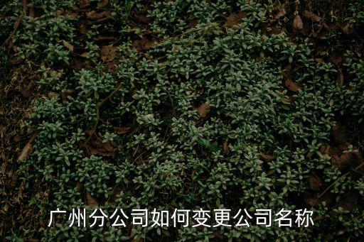 廣州分公司如何變更公司名稱
