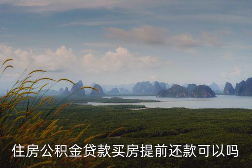 住房公積金貸款買房提前還款可以嗎