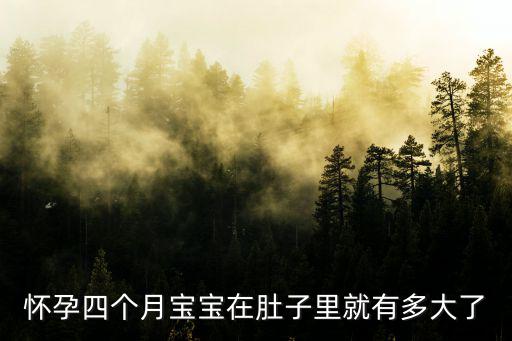 懷孕四個月寶寶在肚子里就有多大了