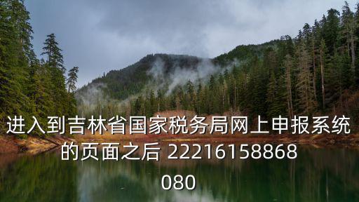 進入到吉林省國家稅務局網上申報系統的頁面之后 22216158868080