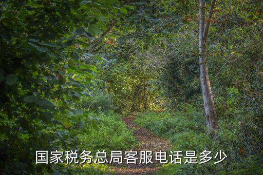 國(guó)家稅務(wù)總局客服電話是多少