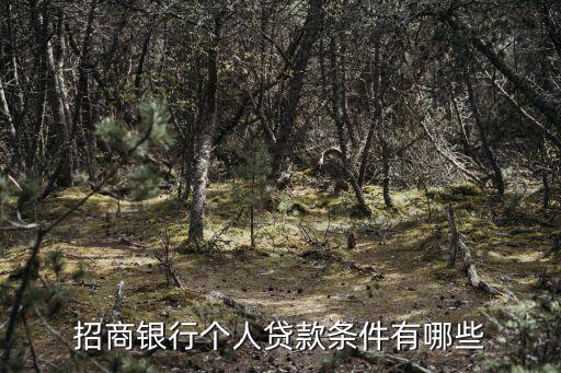 招商銀行個人貸款條件有哪些