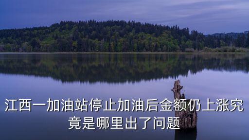 江西一加油站停止加油后金額仍上漲究竟是哪里出了問題