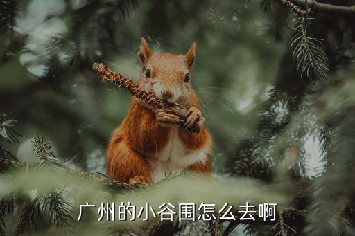 廣州的小谷圍怎么去啊