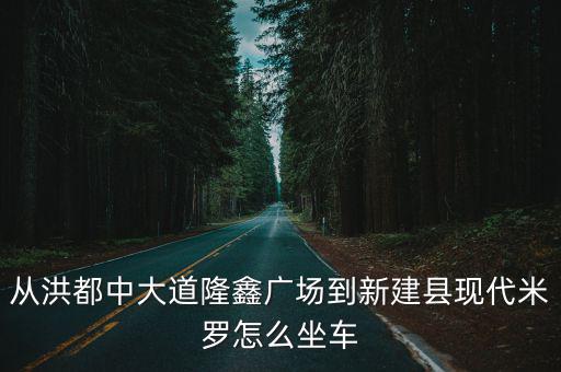 從洪都中大道隆鑫廣場到新建縣現(xiàn)代米羅怎么坐車