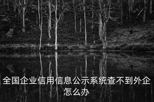 全國企業(yè)信用信息公示系統(tǒng)查不到外企怎么辦