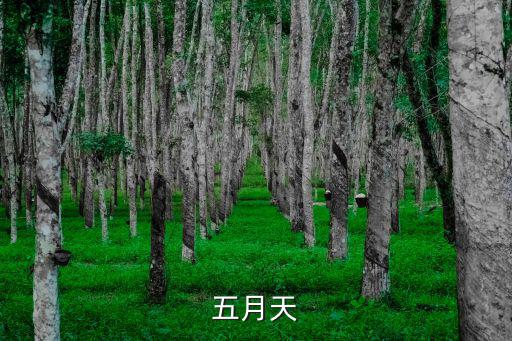 五月天