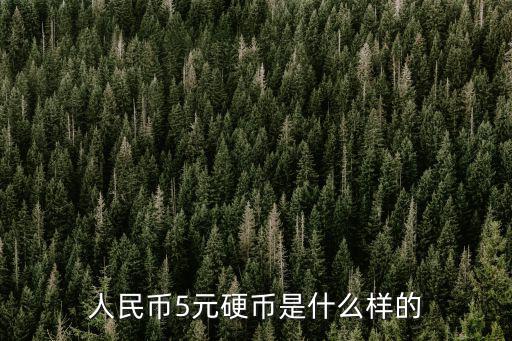 人民幣5元硬幣是什么樣的