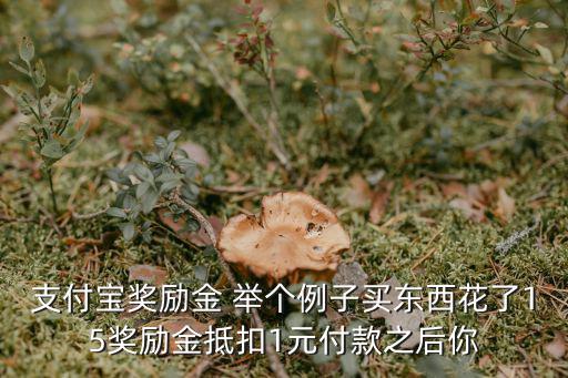 支付寶獎(jiǎng)勵(lì)金 舉個(gè)例子買(mǎi)東西花了15獎(jiǎng)勵(lì)金抵扣1元付款之后你