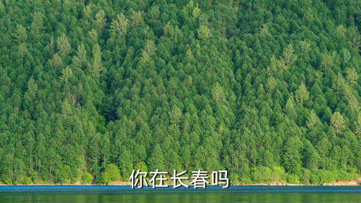 你在長春嗎