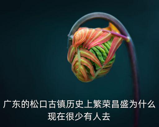 廣東的松口古鎮(zhèn)歷史上繁榮昌盛為什么現(xiàn)在很少有人去