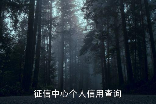 征信中心個人信用查詢