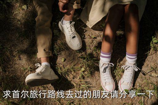求首爾旅行路線去過的朋友請分享一下